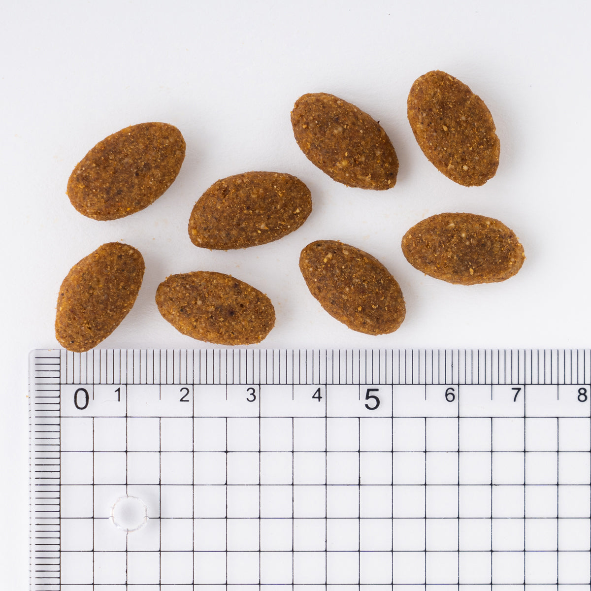 プロマネージ 成犬用 ウェルシュ・コーギー・ペンブローク専用 4kg