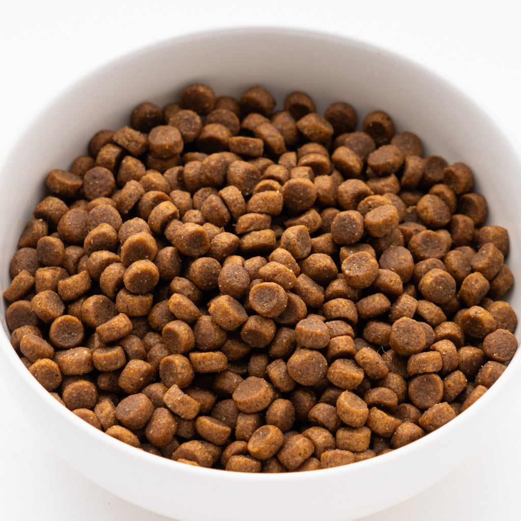 プロマネージ 12ヶ月までの子犬用（パピー） 4kg