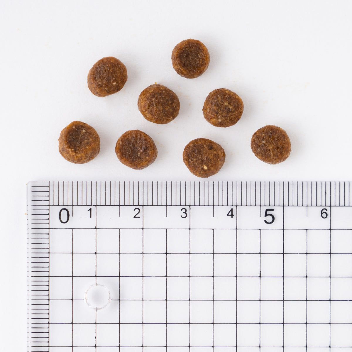 プロマネージ 12ヶ月までの子犬用（パピー） 4kg