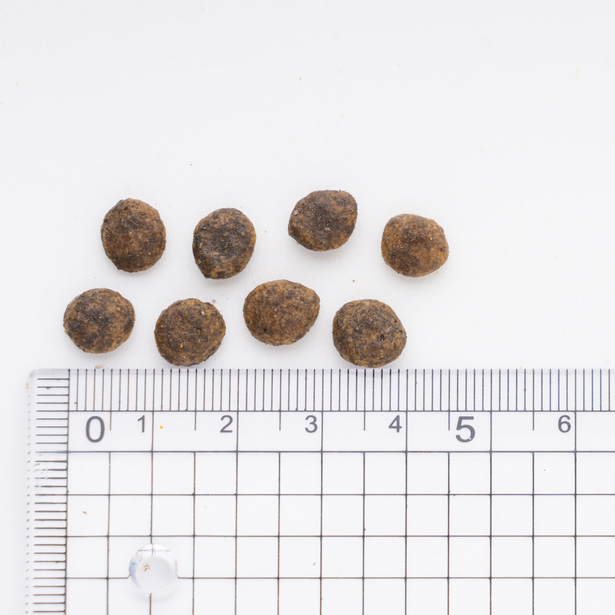 THE・PERFECT ONE ドライ チキン&まぐろ入り 室内シニア猫避妊・去勢後猫の健康な尿路・毛玉 500g